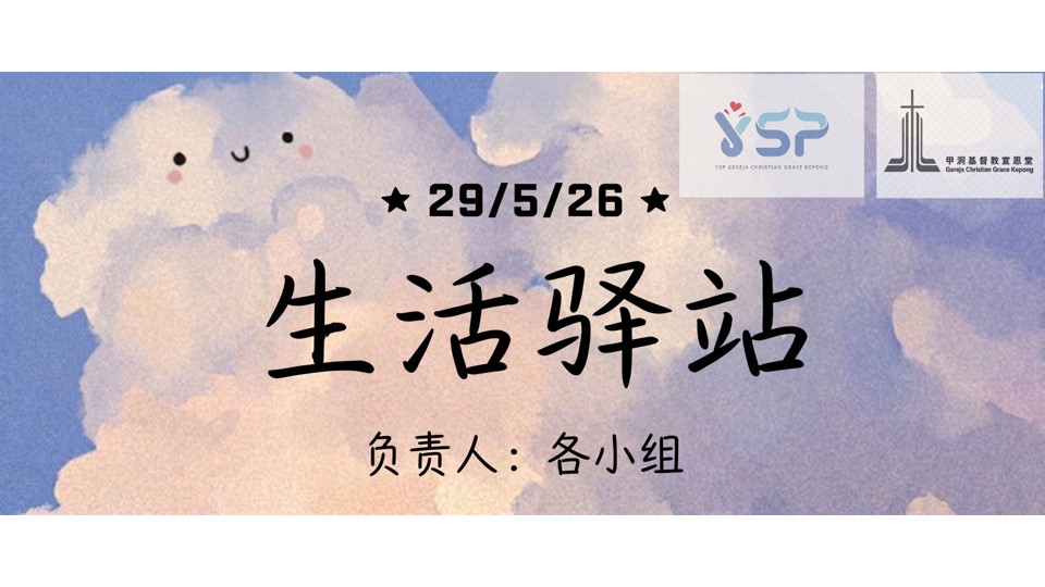 YSP 青区